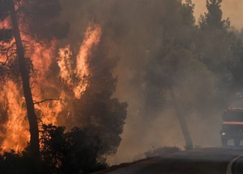 Ολονύχτια μάχη με τις φλόγες στην Εύβοια – Σώθηκαν τα τέσσερα χωριά