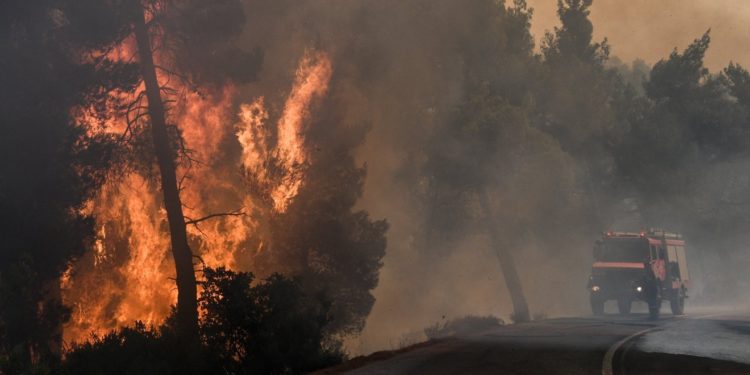 Ολονύχτια μάχη με τις φλόγες στην Εύβοια – Σώθηκαν τα τέσσερα χωριά