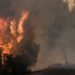 Ολονύχτια μάχη με τις φλόγες στην Εύβοια – Σώθηκαν τα τέσσερα χωριά