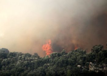 Σε εξέλιξη πυρκαγιά σε δασική έκταση στις Ερυθρές