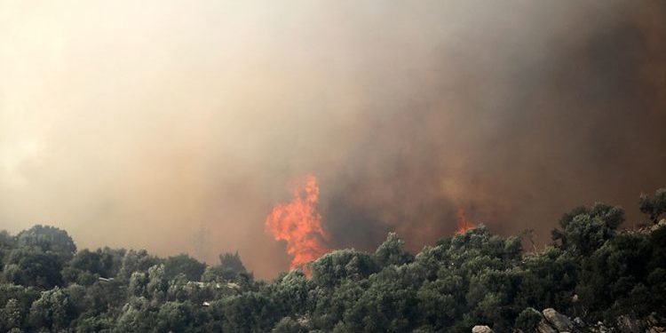 Σε εξέλιξη πυρκαγιά σε δασική έκταση στις Ερυθρές