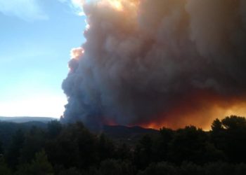 Εύβοια: Ενισχύονται συνεχώς οι δυνάμεις στο μέτωπο της πυρκαγιάς