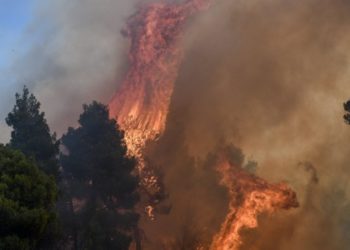 Εύβοια: Μάχη στα περιφερειακά μέτωπα – Ατέλειωτο μαύρο τοπίο αποκαλύπτει η σημερινή μέρα στην Κεντρική Εύβοια