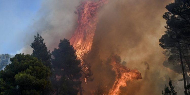 Εύβοια: Μάχη στα περιφερειακά μέτωπα – Ατέλειωτο μαύρο τοπίο αποκαλύπτει η σημερινή μέρα στην Κεντρική Εύβοια