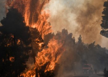 Πυρκαγιά στην Εύβοια: Η αντιμετώπιση των αναζωπυρώσεων βασικός στόχος των πυροσβεστών