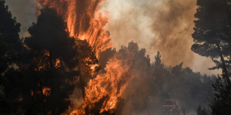 Πυρκαγιά στην Εύβοια: Η αντιμετώπιση των αναζωπυρώσεων βασικός στόχος των πυροσβεστών