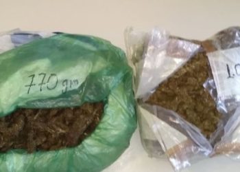 Ο σκύλος του Λιμενικού «ξεσκέπασε» 1,8 κιλά κάνναβης