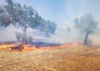 Δύο συλλήψεις για τις φωτιές στην Ηλεία και τη Μεσσηνία