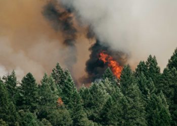 Κατάσταση συναγερμού και πολύ υψηλός κίνδυνος πυρκαγιάς σε πολλές περιοχές της χώρας