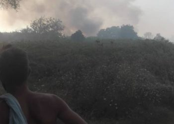 Υπό έλεγχο η πυρκαγιά στην Κέρκυρα που οδήγησε σε εκκένωση δύο χωριών (φωτογραφίες)