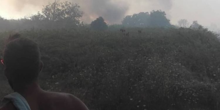 Υπό έλεγχο η πυρκαγιά στην Κέρκυρα που οδήγησε σε εκκένωση δύο χωριών (φωτογραφίες)
