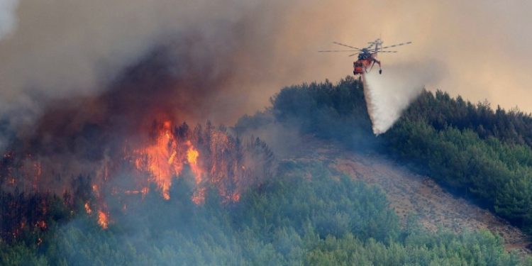 Θάσος: Φωτιά ξέσπασε σε δασική έκταση στην περιοχή των Κοινύρων