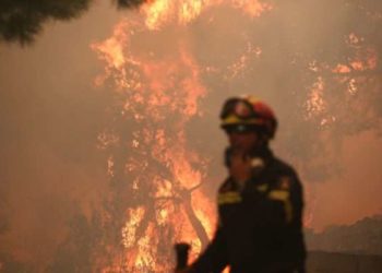 Δασικό επίδομα: Η ελάχιστη ένδειξη αναγνώρισης