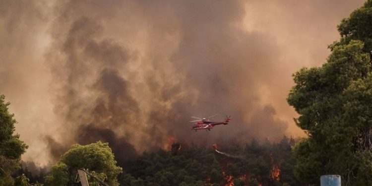 Συνελήφθη 24χρονος για εμπρησμό στην Κυνουρία Αρκαδίας