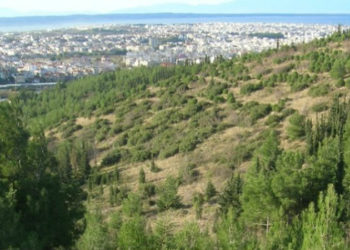 Απαγόρευση κυκλοφορίας στο Σέιχ Σου και σε δασικές περιοχές της Χαλκιδικής