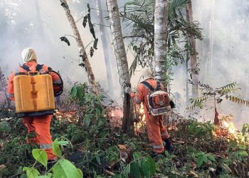 «Αμαζόνιος SOS»:Ο πνεύμονας του πλανήτη είναι στις φλόγες