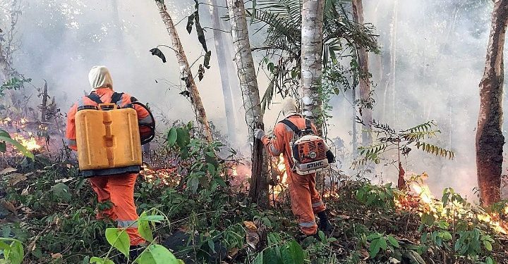 «Αμαζόνιος SOS»:Ο πνεύμονας του πλανήτη είναι στις φλόγες