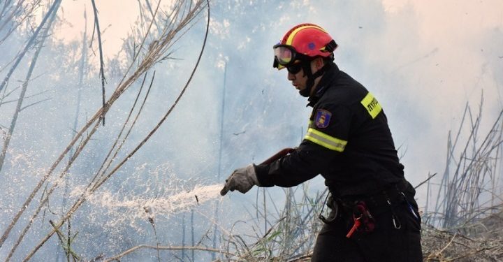 Πυρκαγιά στο ύψος της γέφυρας στη Λυκόβρυση (βίντεο)
