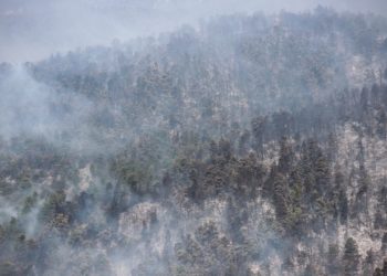 Σχεδόν 23.000 στρέμματα είχαν καεί στην Εύβοια έως χθες το μεσημέρι, όπως αποκαλύπτει ο ευρωπαϊκός δορυφόρος Sentinel-2