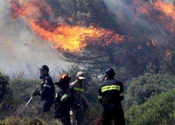 Πάτρα: Πυρκαγιά σε δασική έκταση στην Κλειτορία Καλαβρύτων