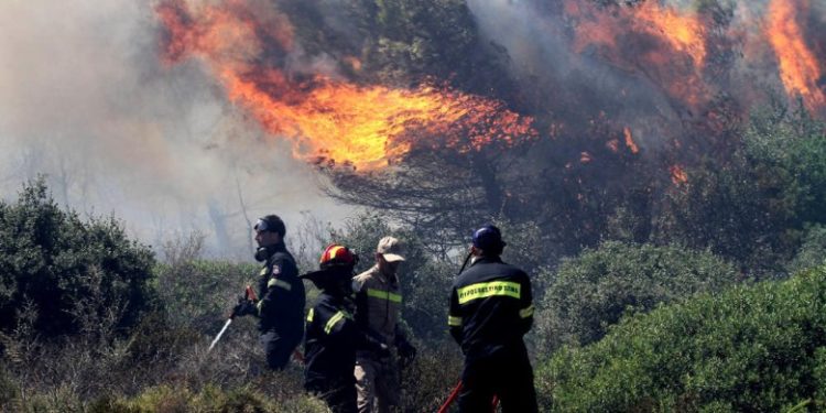 Πάτρα: Πυρκαγιά σε δασική έκταση στην Κλειτορία Καλαβρύτων
