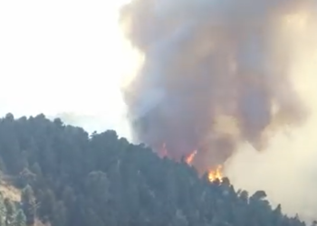 Εύβοια: Η πυρκαγιά από drone της Πυροσβεστικής (ΒΙΝΤΕΟ)