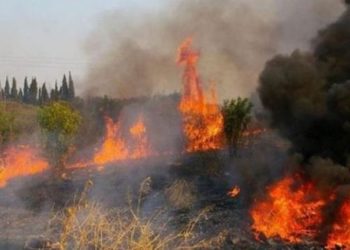 Κέρκυρα: Σε εξέλιξη φωτιά που ξέσπασε σε δασική περιοχή στους Καλαφατιώνες