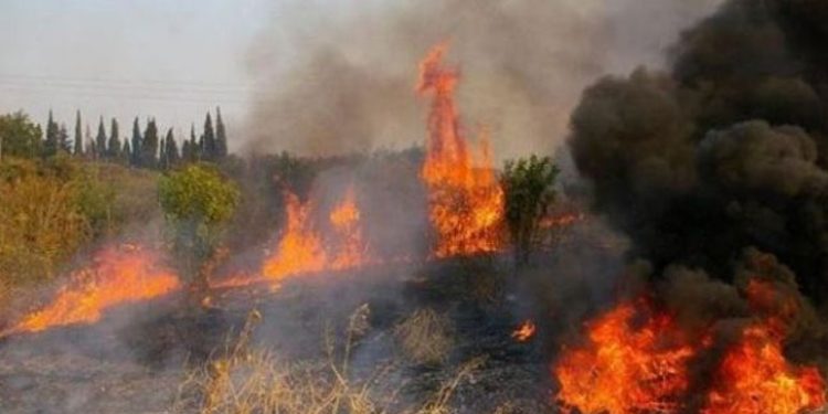 Κέρκυρα: Σε εξέλιξη φωτιά που ξέσπασε σε δασική περιοχή στους Καλαφατιώνες