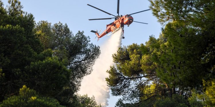 Σε ύφεση η πυρκαγιά στη Νέα Μάκρη – Καταγγελίες για εμπρησμό (βίντεο – φωτογραφίες)