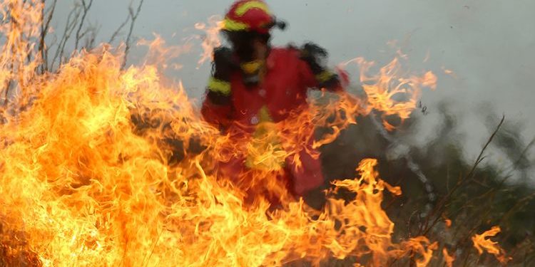 Υπό μερικό έλεγχο η πυρκαγιά στον Μαραθώνα