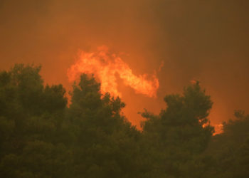 Φωτιά σε δασική έκταση στο Πανόραμα Θεσσαλονίκης