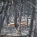 Εθνικό Αστεροσκοπείο: Οι συνθήκες που έκαναν ανεξέλεγκτη την πυρκαγιά στο Μάτι