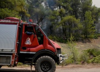 Πυρκαγιά στην περιοχή Βατήσι της Καρύστου Ευβοίας