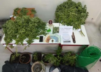 Γρεβενά: 35χρονος καλλιεργούσε κάνναβη στο σπίτι του