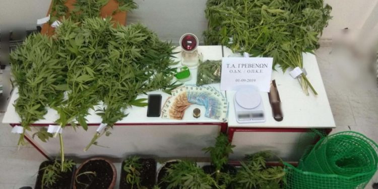 Γρεβενά: 35χρονος καλλιεργούσε κάνναβη στο σπίτι του