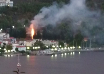 Φωτιά από κεραυνό στη λίμνη Ευβοίας (ΦΩΤΟ)