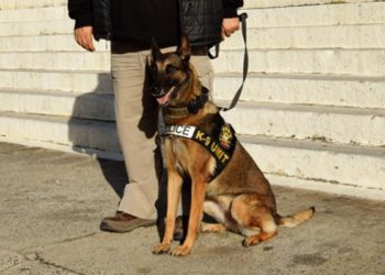 O σκύλος “ξετρύπωσε” την ηρωίνη