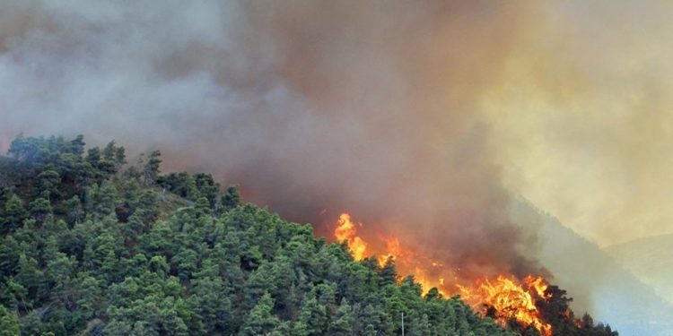Σε εξέλιξη πυρκαγιά σε δασική έκταση στο Χρυσοβίτσι Αρκαδίας