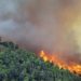 Σε εξέλιξη πυρκαγιά σε δασική έκταση στο Χρυσοβίτσι Αρκαδίας