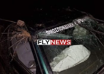 Λακωνία: Ομοσπονδιακός θηροφύλακας τράκαρε με αγριόχοιρο (ΦΩΤΟ)