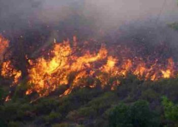 Φωτιά στον Βαρνάβα κοντά σε σπίτια