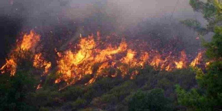 Φωτιά στον Βαρνάβα κοντά σε σπίτια