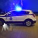 Εξαρθρώθηκε σπείρα που διέπραττε κλοπές σε Ηλεία, Αχαΐα και Αρκαδία