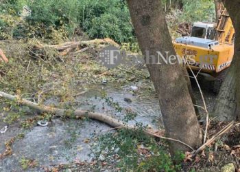 Δέντρο καταπλάκωσε και σκότωσε άνδρα στα Χανιά