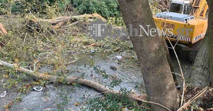 Δέντρο καταπλάκωσε και σκότωσε άνδρα στα Χανιά