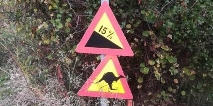 Πινακίδες με καγκουρό και καμήλες στο… Πήλιο