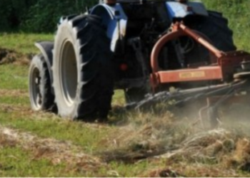 Βρέθηκε ανθρώπινος σκελετός θαμμένος σε χωράφι έξω από χωριό της Κέρκυρας