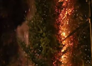 Έκαψαν το χριστουγεννιάτικο δέντρο στα Εξάρχεια – Η απάντηση του Κ. Μπακογιάννη (ΒΙΝΤΕΟ)