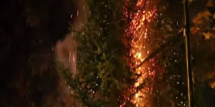 Έκαψαν το χριστουγεννιάτικο δέντρο στα Εξάρχεια – Η απάντηση του Κ. Μπακογιάννη (ΒΙΝΤΕΟ)