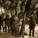 Επίθεση σε διμοιρία των ΜΑΤ στα Εξάρχεια